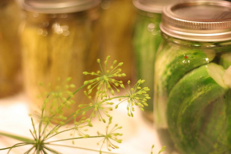 Be Amazed With These Five Recipes Using Dill Pickle Vodka Mystery Pickle